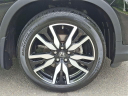 Thumbnail image of 2019 Honda Pilot at Hamilton Honda