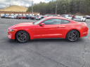 Thumbnail image of 2023 Ford Mustang at Ramey Chevrolet
