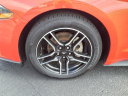 Thumbnail image of 2023 Ford Mustang at Ramey Chevrolet