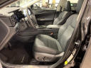 Thumbnail image of 2024 Lexus NX 350 at Lexus of Southampton