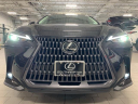 Thumbnail image of 2024 Lexus NX 350 at Lexus of Southampton