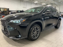 Thumbnail image of 2024 Lexus NX 350 at Lexus of Southampton