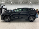 Thumbnail image of 2024 Lexus NX 350 at Lexus of Southampton