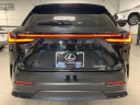 Thumbnail image of 2024 Lexus NX 350 at Lexus of Southampton