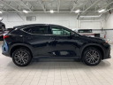 Thumbnail image of 2024 Lexus NX 350 at Lexus of Southampton