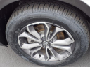 Thumbnail image of 2022 Honda CR-V Hybrid at Bob Brady Auto Mall