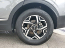 Thumbnail image of 2023 Kia Sportage at LorenzoNissan-New of Ft Lauderdale, FL
