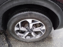 Thumbnail image of 2022 Kia Sportage at Kia Of Bradley