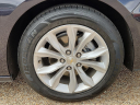 Thumbnail image of 2023 Chevrolet Malibu at Frank Brown Honda GMC