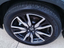 Thumbnail image of 2019 Honda Pilot at Serra Buick Gmc Champaign