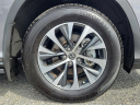 Thumbnail image of 2021 Lexus RX 350 at Davis Pre-owned