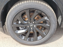 Thumbnail image of 2025 Land Rover Discovery Sport at Piazza Jaguar Land Rover Willow Grove