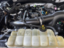 Thumbnail image of 2019 Ford F-150 at E ONE AUTOGROUP