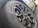Thumbnail image of 2022 Hyundai SANTA FE at TyrrellChevrolet (Also Ford and Honda used)
