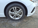 Thumbnail image of 2019 Hyundai SONATA at Fredy Kia
