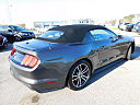 Thumbnail image of 2017 Ford Mustang at Mathews Nissan