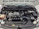 Thumbnail image of 2020 Toyota Corolla at Durrett Motor Company
