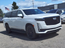 Thumbnail image of 2024 Cadillac Escalade ESV at Dm Motors