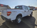 Thumbnail image of 2014 Ford F-150 at Lake Powell Auto Source