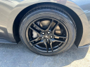 Thumbnail image of 2019 Ford Mustang at Toyota Of Lancaster