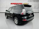 Thumbnail image of 2014 Lexus GX 460 at Serpentini Chevrolet of Willoughby