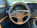 Thumbnail image of 2022 Lexus ES 250 at Lexus of Freeport