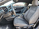 Thumbnail image of 2016 Ford Mustang at Tejas Motors II