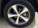 Thumbnail image of 2020 Jeep Cherokee at Jenkins Chrysler-Dodge-Jeep