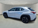 Thumbnail image of 2021 Lexus UX 250h at Arrigo Chrysler Dodge Jeep Ram at Sawgrass