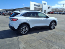 Thumbnail image of 2022 Ford Escape at Lundeen Brothers Ford
