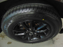 Thumbnail image of 2019 Dodge Grand Caravan at John North Ford Inc