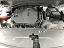 Thumbnail image of 2023 Kia Sorento at Bill Fox Chevrolet Inc