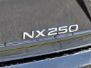 Thumbnail image of 2025 Lexus NX 250 at Lexus of Mobile