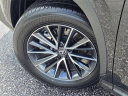Thumbnail image of 2025 Lexus NX 250 at Lexus of Mobile