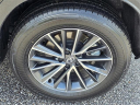 Thumbnail image of 2025 Lexus NX 250 at Lexus of Mobile