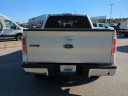 Thumbnail image of 2013 Ford F-150 at Berkeley Ford - New