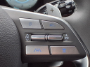 Thumbnail image of 2025 Hyundai PALISADE at Eckert Hyundai