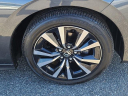 Thumbnail image of 2022 Honda Civic at Millennium Honda