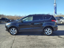 Thumbnail image of 2014 Ford Escape at Duncan Ford Chrysler