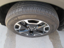 Thumbnail image of 2022 Ford Bronco Sport at Conrad's Auto Center
