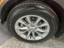 2025 Honda CR-V EX at Empire Nissan of Bay Ridge