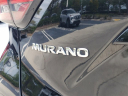 Thumbnail image of 2023 Nissan Murano at Southern 441 Nissan