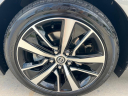 Thumbnail image of 2022 Nissan Maxima at MARYVILLE AUTO SALES, LLC
