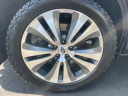 Thumbnail image of 2021 Subaru Ascent at Generation Kia