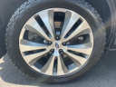 Thumbnail image of 2021 Subaru Ascent at Generation Kia