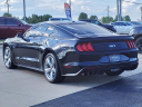 Thumbnail image of 2019 Ford Mustang at Serra Buick Gmc Champaign