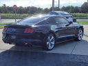 Thumbnail image of 2019 Ford Mustang at Serra Buick Gmc Champaign