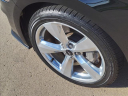Thumbnail image of 2019 Ford Mustang at Serra Buick Gmc Champaign
