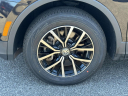 Thumbnail image of 2021 Volkswagen Tiguan at East Hills Volkswagen Subaru of Sayville