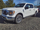 Thumbnail image of 2023 Ford F-150 at Liccardi Ford Inc